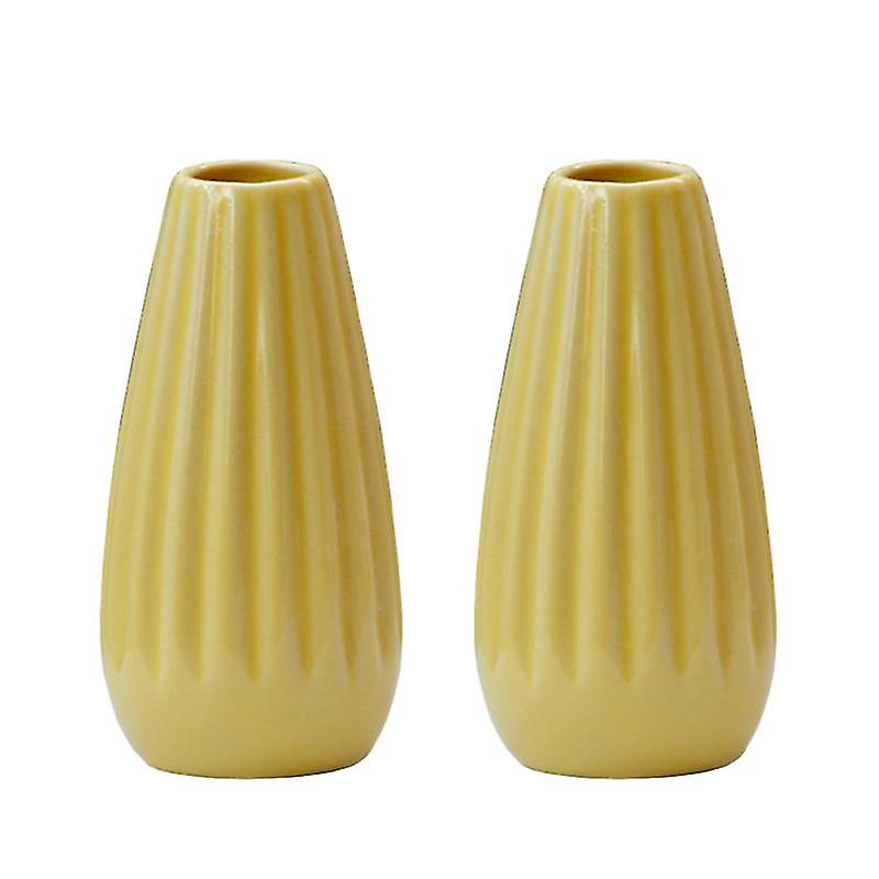 2pcs Artistic Vase