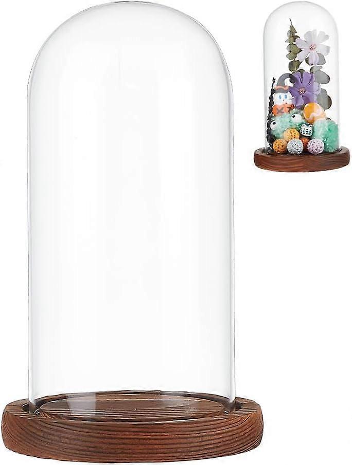 Clear Glass Dome Clear Glass Display Case with Camel Wood Base Decorative Display Dome Case for Plants Flower Display Photos Medals Decoration Finish