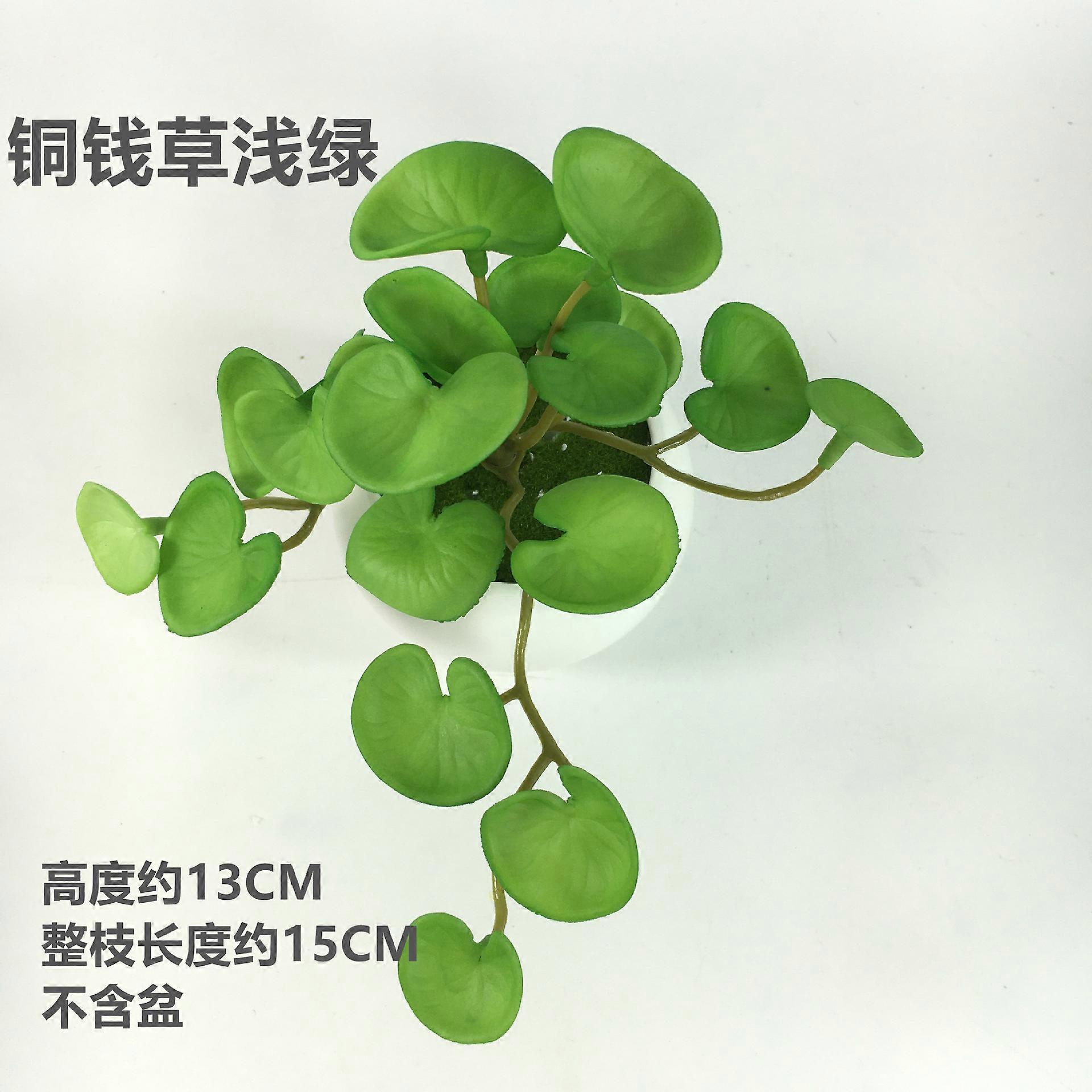 bonsai pfirsich Zwerg-Pfirsich 'Jarm Anao' kaufen