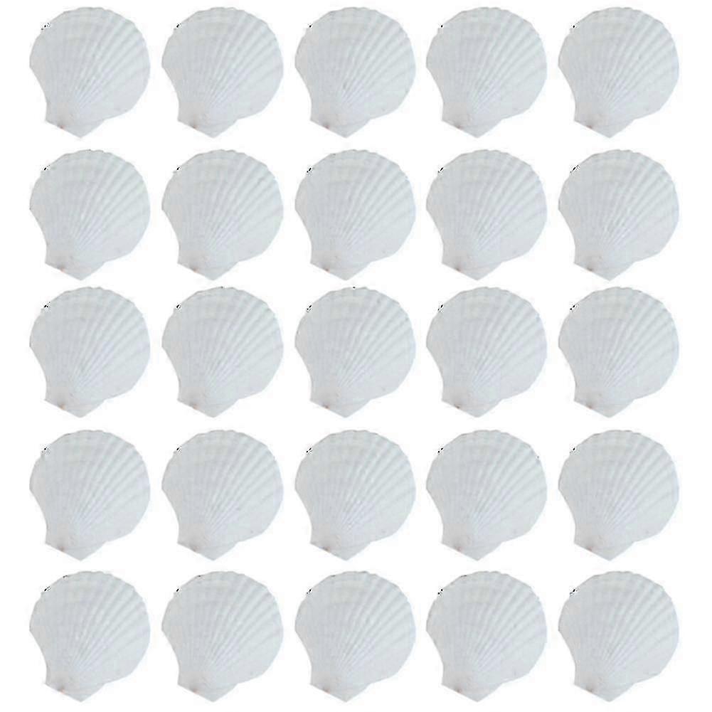 25pcs Natural Scallop Shell, For Handmade Diy Production Handmade Diy Coloring Shell