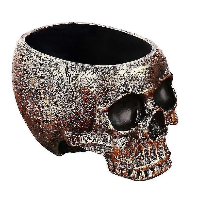 1pcs Skull Shaped Flowerpot