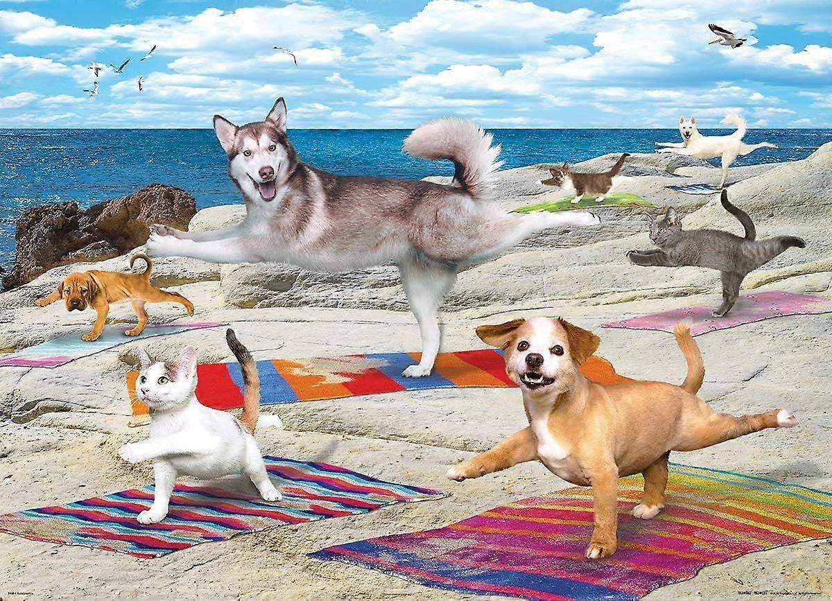 Yoga Beach 1000 bitars pussel