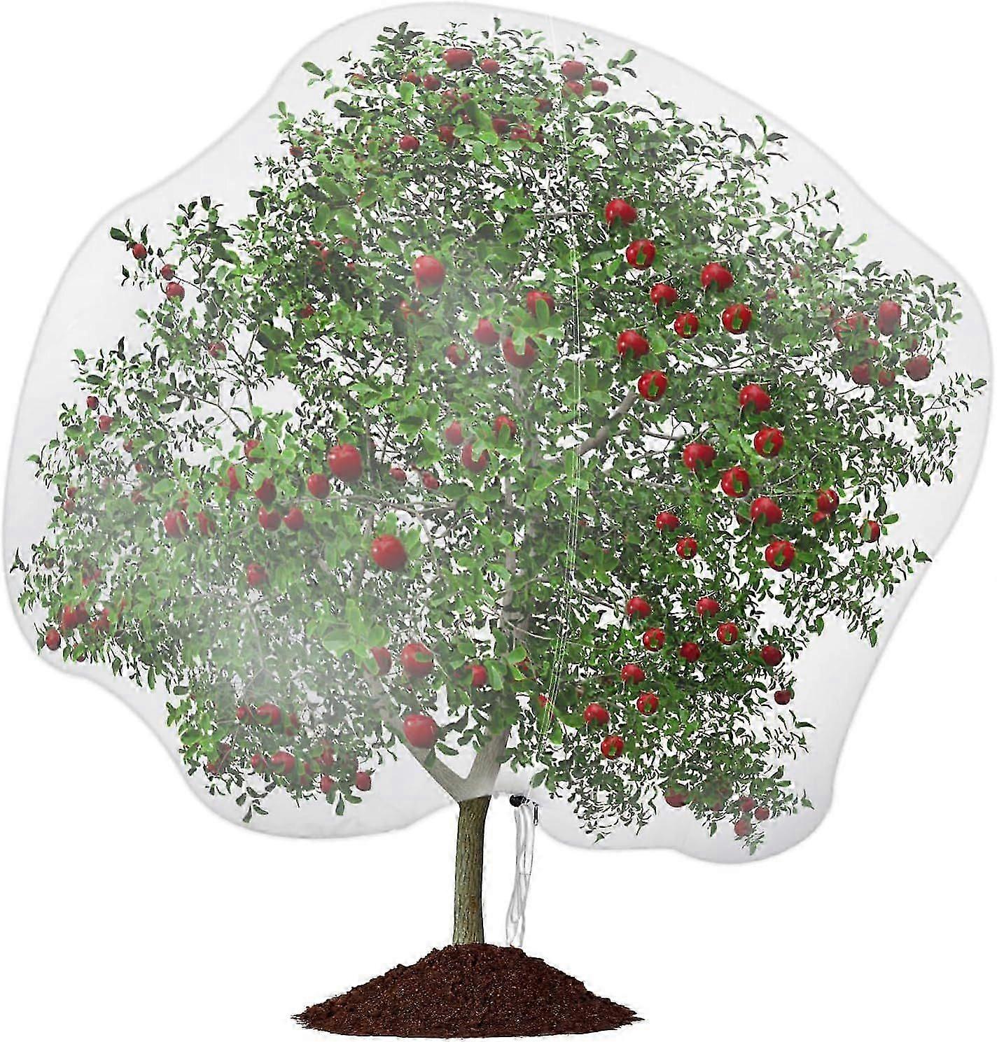 2025 Latest Model 9.8