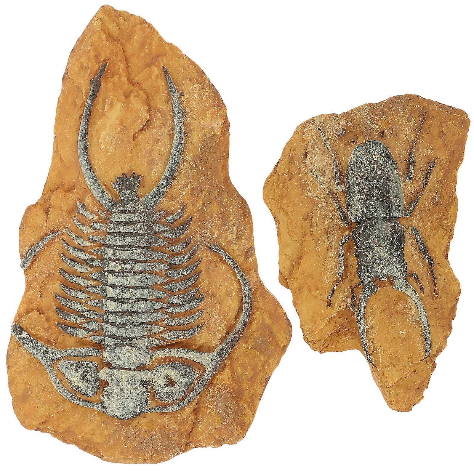 2pcs Realistic Fossil Trilobite Decor for Terrariums – Durable Resin Landscape Accessories for Lizard and Reptile Enclosures