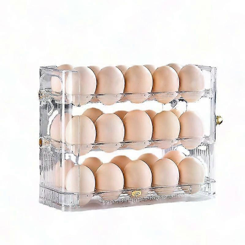 Refrigerator Egg Storage Box - Kitchen Fresh Egg Organizer 10.2x25.5x19.5cm