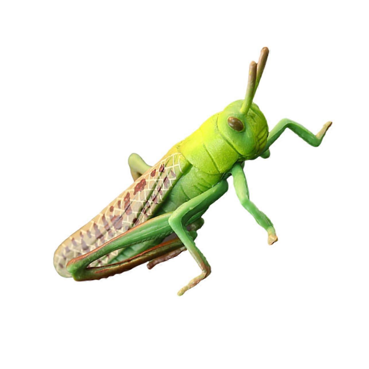 Artificial Model Lifelike Plastic Locust Insect Toy For Classroom Use, 3D PVC Locust Model, Educational Decoration, Brown