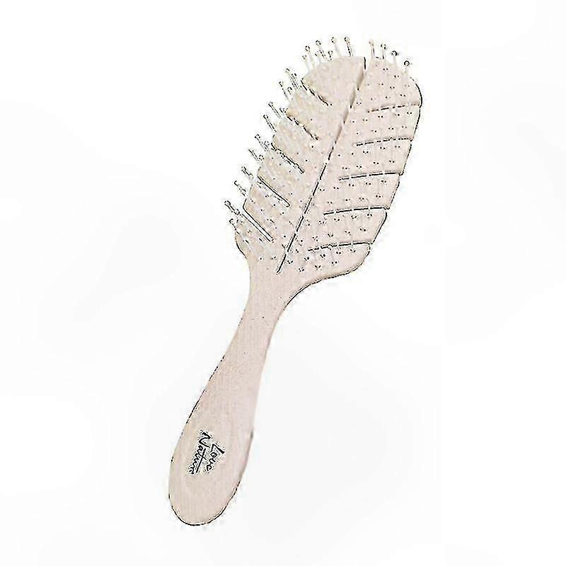 Eco-Friendly Brushes Made from Biodegradable Materials
