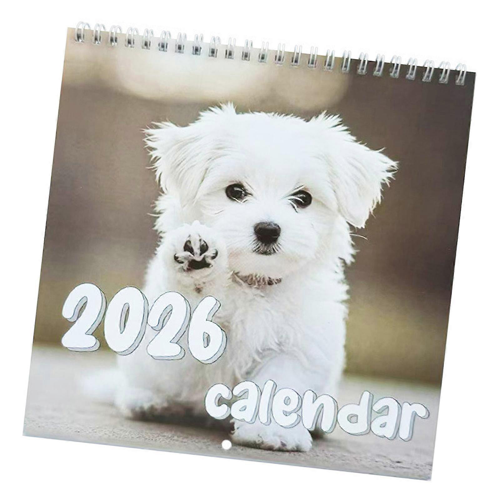 Stylish 2026 Calendar Wall Hanging Calendar with Coated Paper Materials Friendly Inks Design For Home Or Office Decors Multicolor