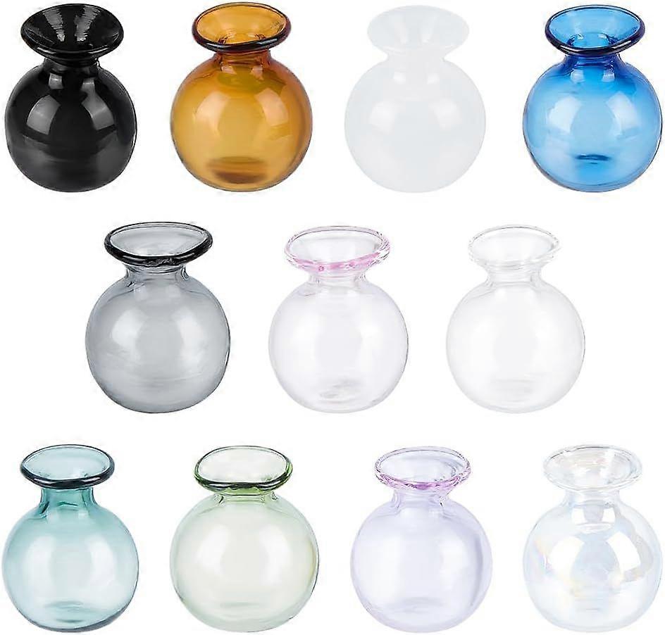 11 Colours Mini Vase Tiny Vase for Cat Whisker Small Clear Vase Coloured Glass Vase Bud Vase Cat Whisker Holder Whisker Jar Small Art Vase for Home Ro