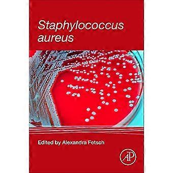 Staphylococcus aureus