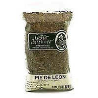 Lion foot 40 g