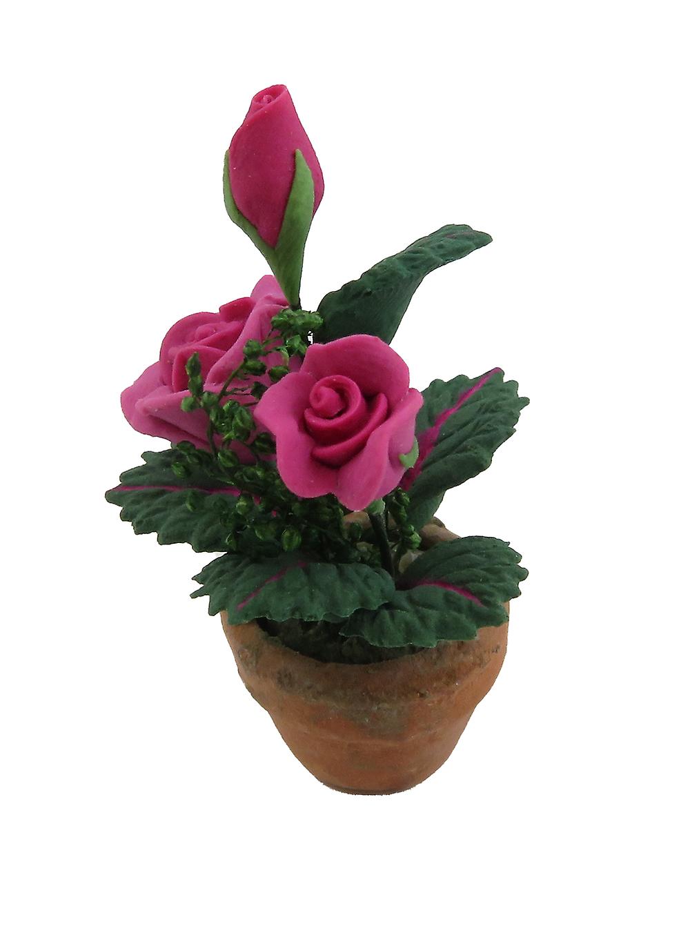 بيت الدمى الورود الوردي الفوشيه في وعاء الطين في الهواء الطلق حديقة التبعي