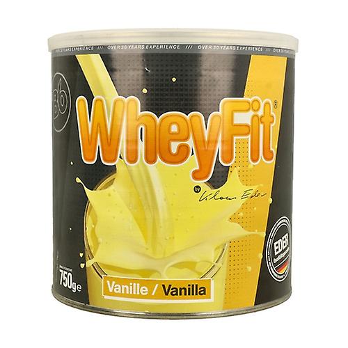 Protifit B6 (Vanilla Flavor) 750 g (Vanilla)