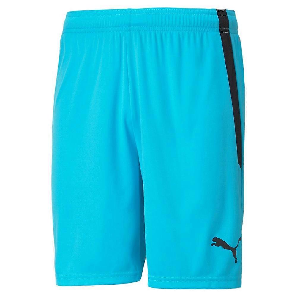 Trousers Puma Teamliga 70492440