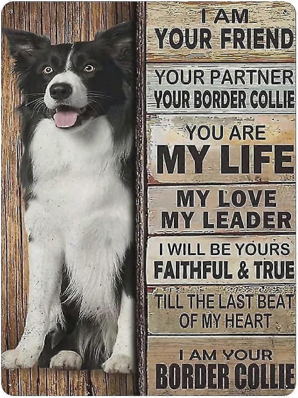 Placa de Metal Dachshund Dog Vintage Tin Poster Metal Sign 8x12 Polegadas OU 12x16 Polegadas Modo 1712