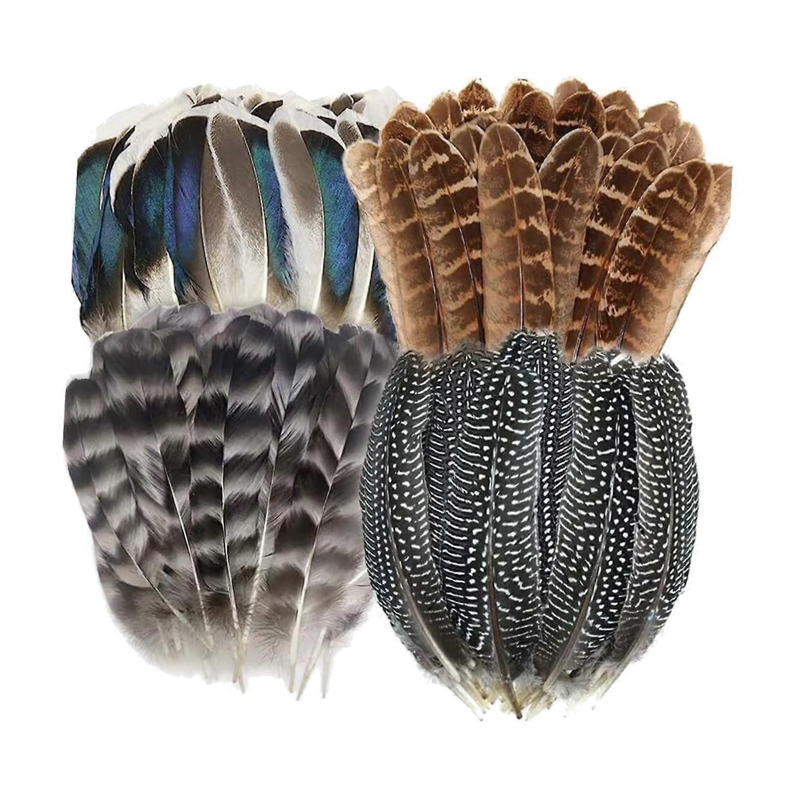 Feathers for Crafts Colors Feathers for DIY Crafting Photo Props Theme Party 40pcs