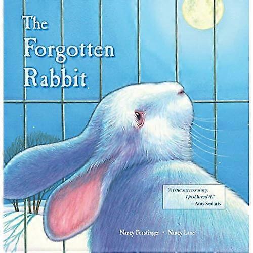 The Forgotten Rabbit