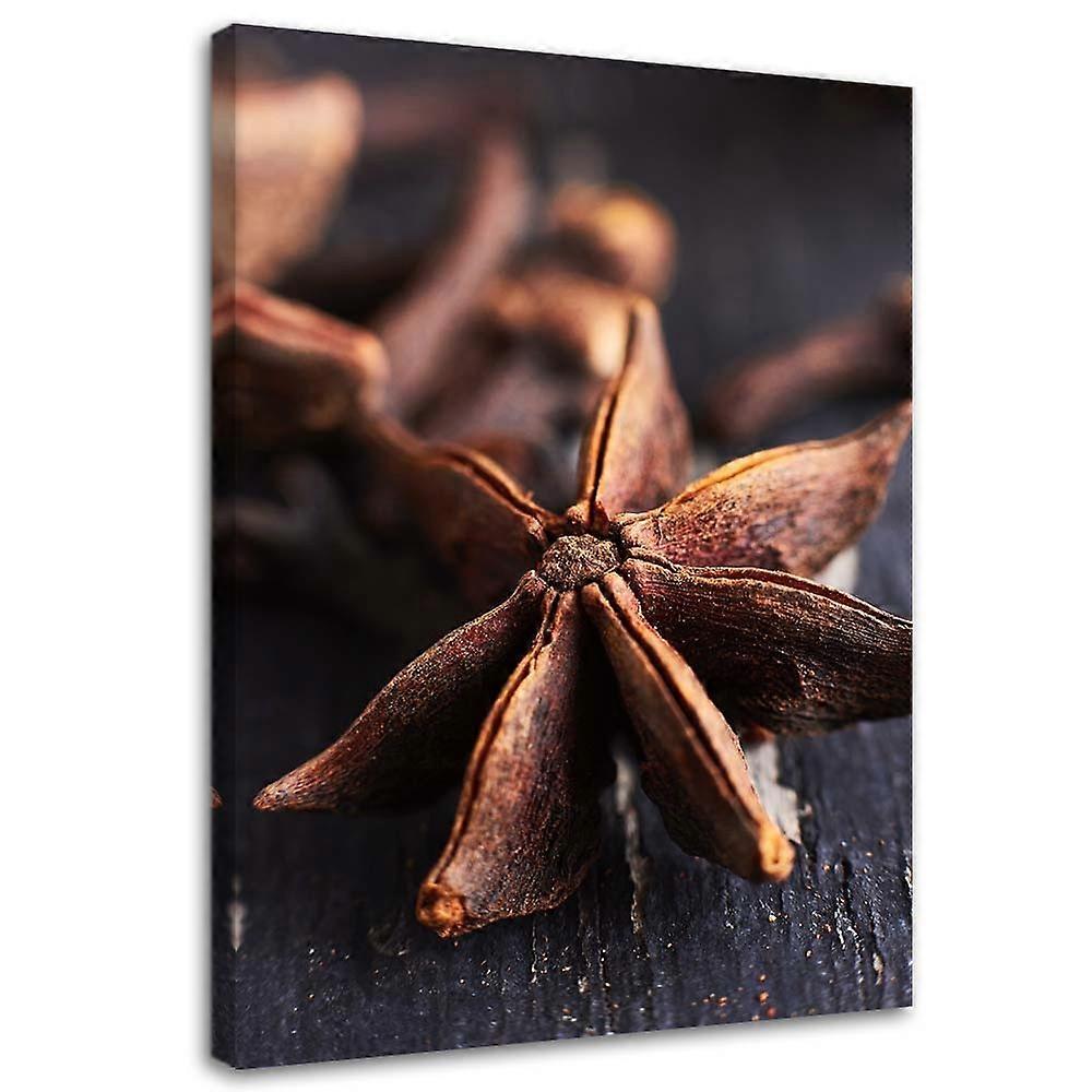 Impression sur toile, Anis étoilé - 60x90