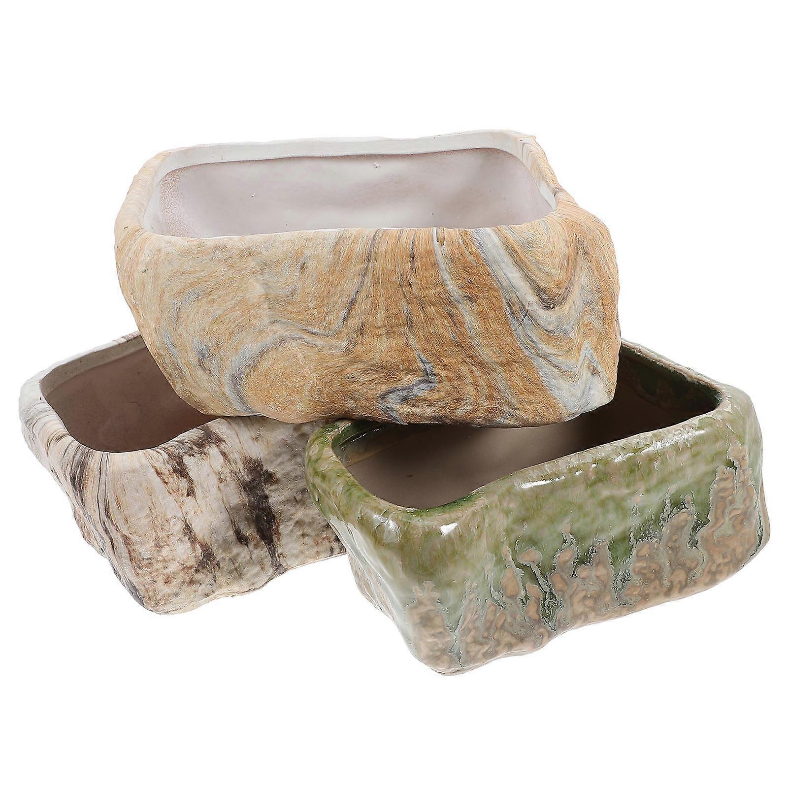 Succulent Container with Stone Appearance for Tabletop and Window Display