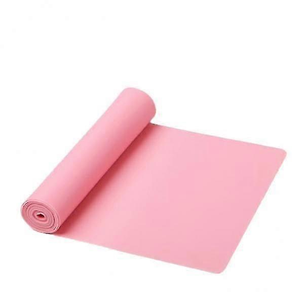 2xProfessional Resistance Bands Exercise Loop Elastic Bands 2m Pink