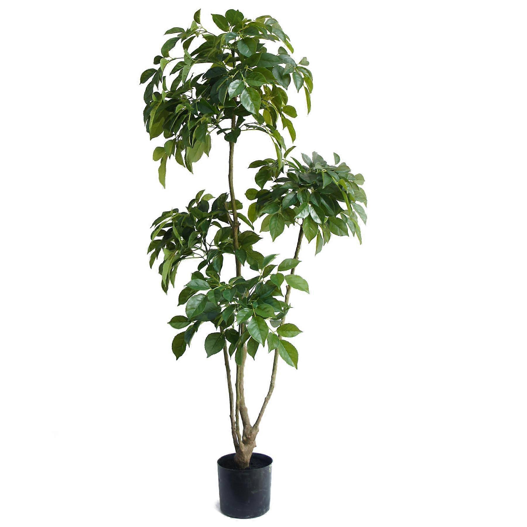 150cm Radermachera Realistic Artificial Tree