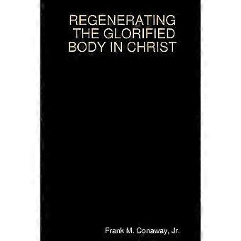 The Glorified Body In Christ - Conaway, Jr., Frank M - Paperback - en Book