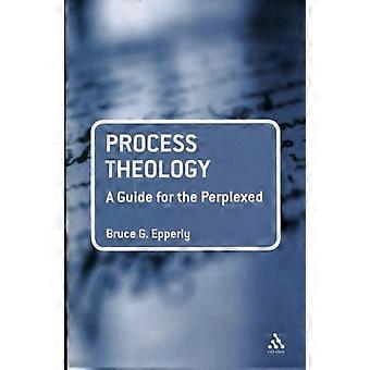 Process Theology A Guide For The Perplexed - Bruce G. Epperly - Paperback - en Book