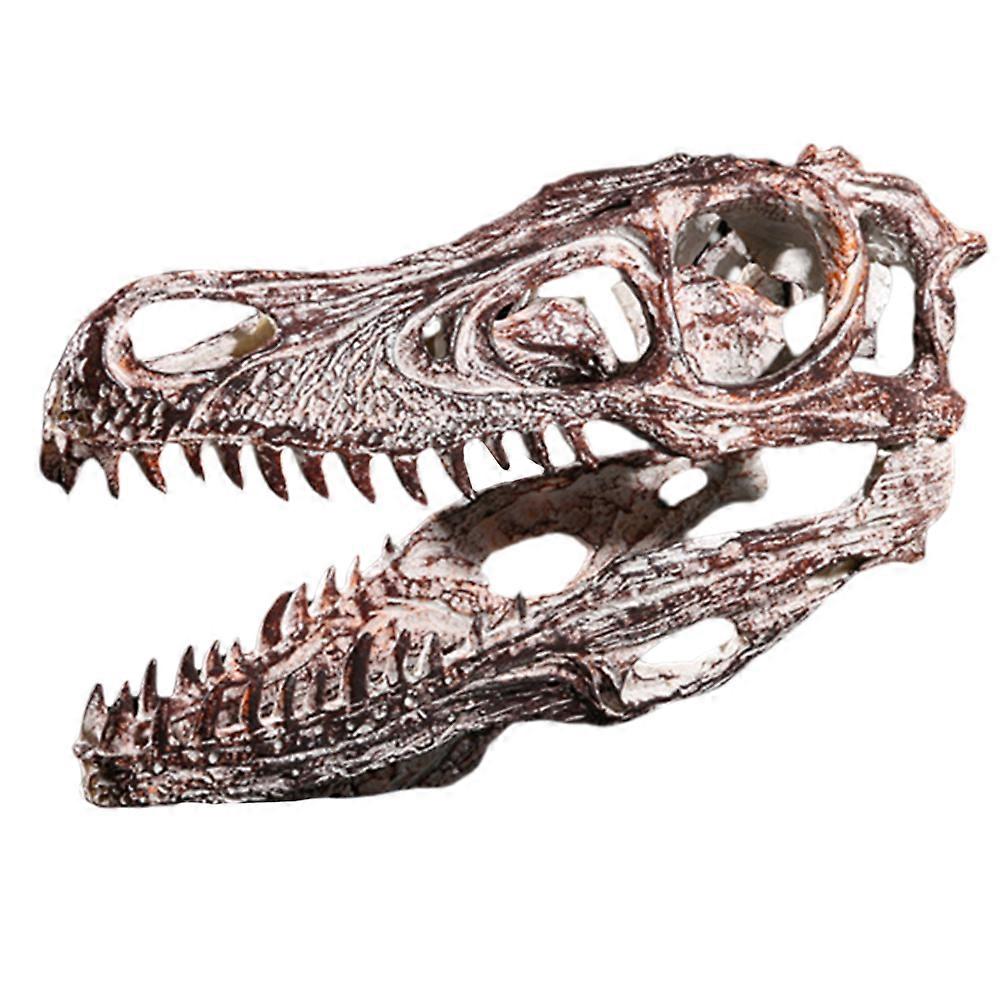 Simulation Dinosaur Skull Model Resin Craft for Desktop 1Pcs
