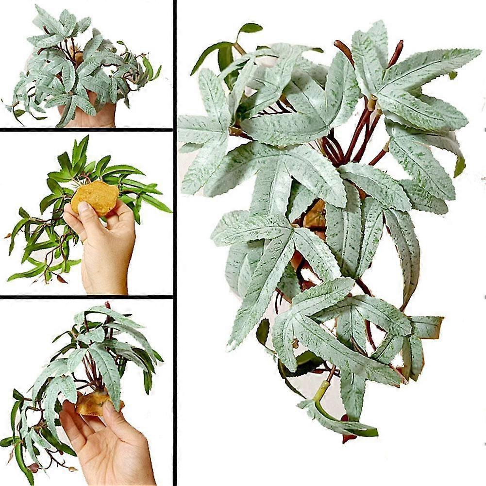 Fashionable Premium Classic Supplies, High Compact Plants, Simulation Performance Pets, Crawling Pets Crawling