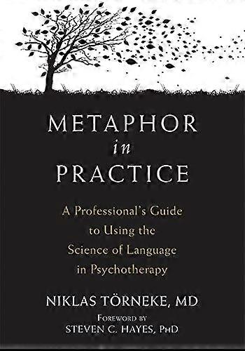 Metaphor in Practice