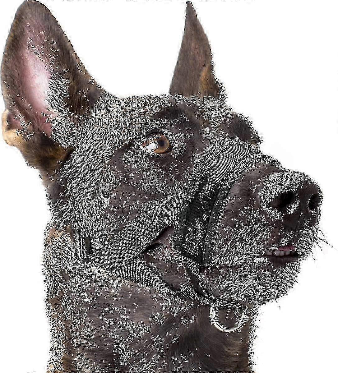 Adjustable Nylon Dog Muzzle with Soft Padding, Black 26-27
