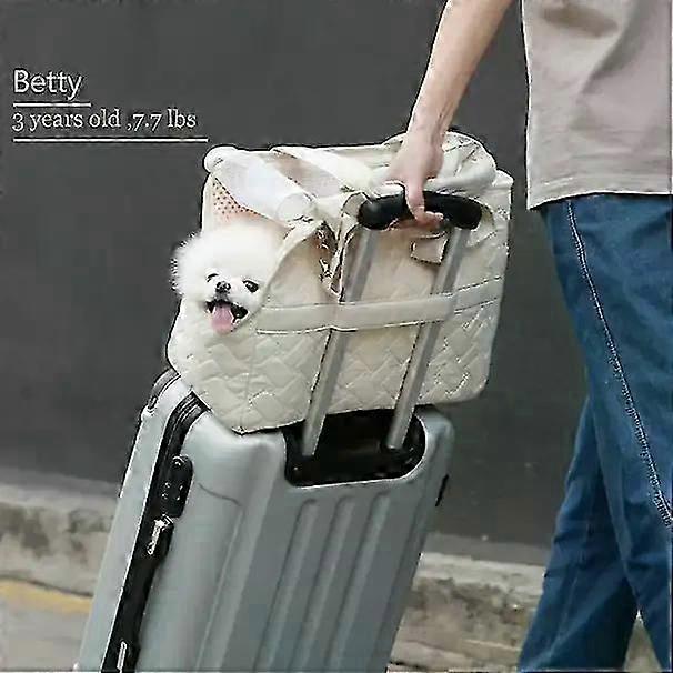 Breathable Side-View Pet Carrier