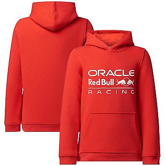 Formula 1 Racing Hoodie -04
