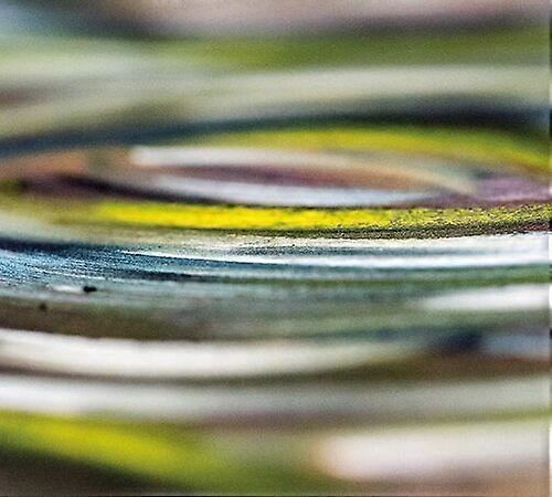 Ian Boddy & Erik Wøllo : Revolve CD (2022)