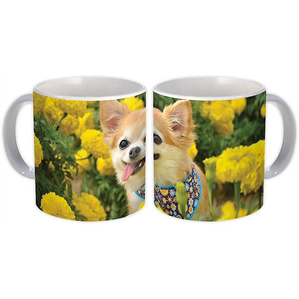 Hediye Kupa: Chihuahua Pet