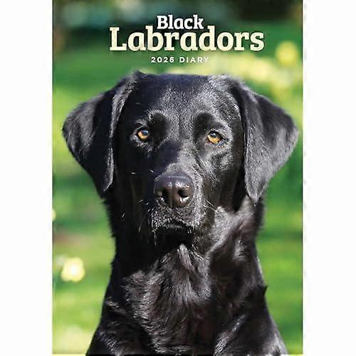 Labrador Retrievers Black A5 Diary 2026 Diary Book
