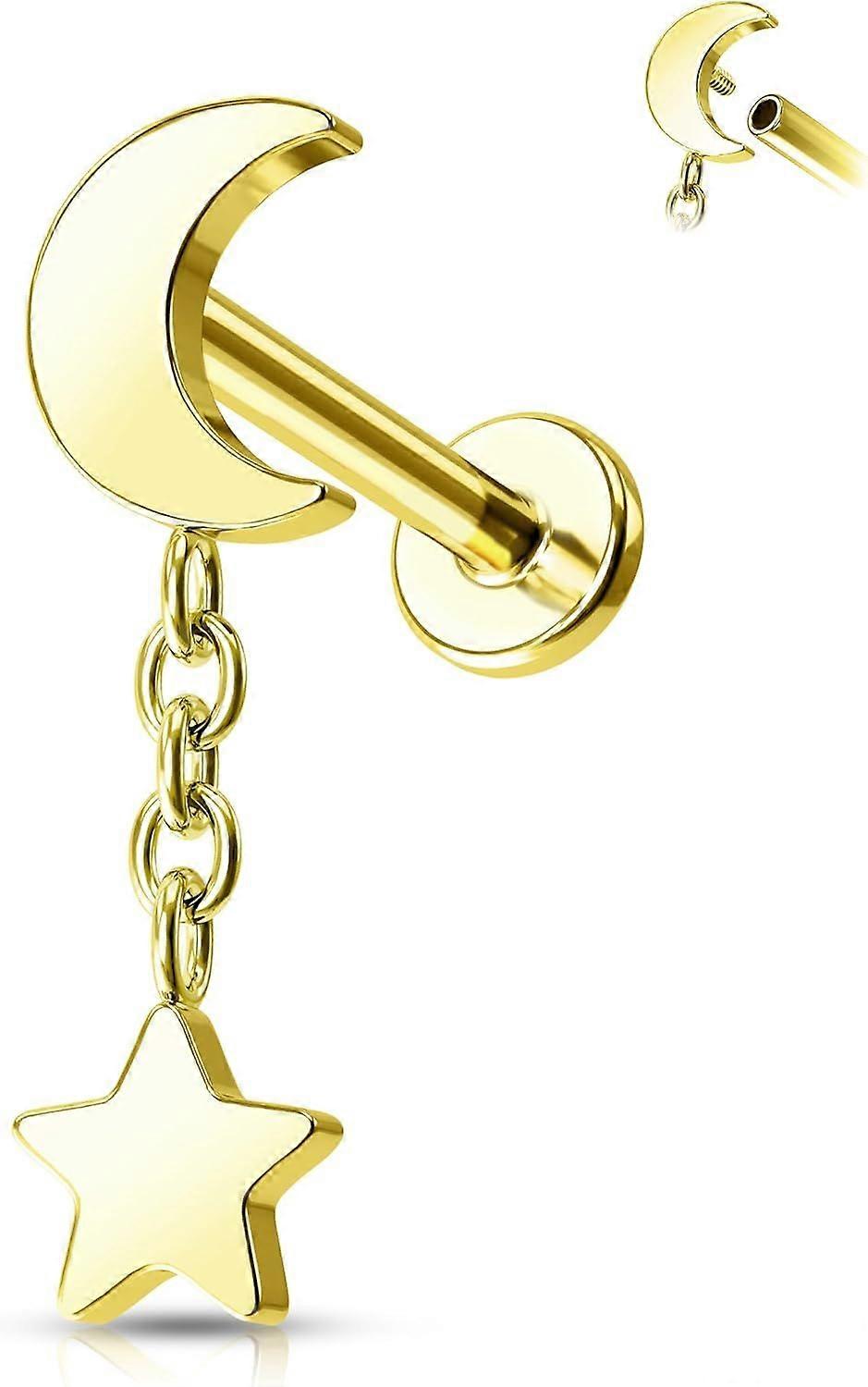 Hidden Helix Earrings G23 Solid Titanium Cartilage Earrings Stud 16G Internally