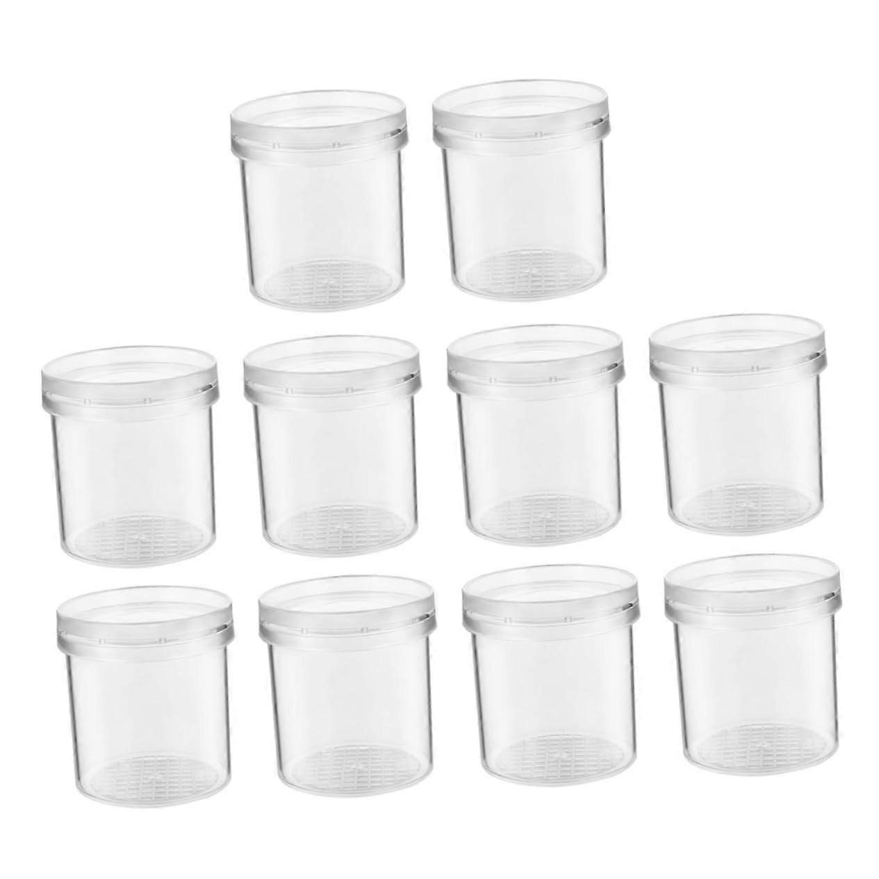 15Pcs Transparent Insect Observation Boxes with Ventilation for Bug Viewing and Science Study