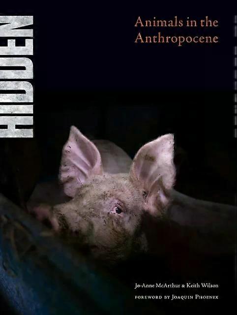 Hidden - Jo-Anne - Hardback - en Book