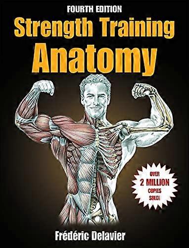 Stärke Training Anatomie