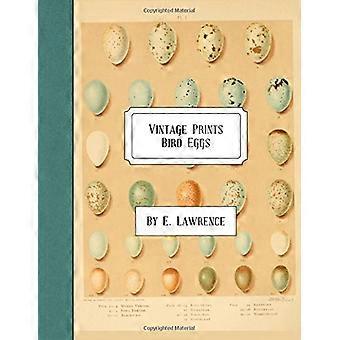 Vintage Prints: Vogel Eieren