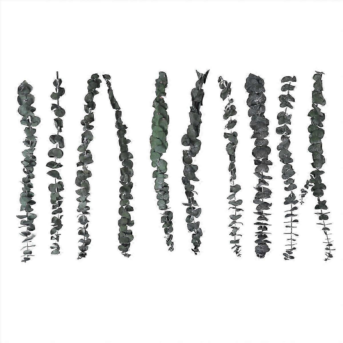 10Pack Natural Dried Eucalyptus Bundle,Preserved Fresh Eucalyptus,,-jianc