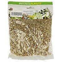 Fennel Seed 60 g