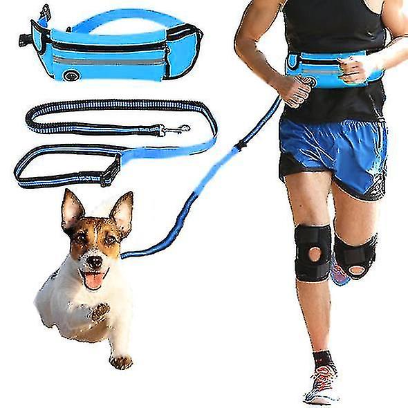 Course mains libres Bungee Dog Leash