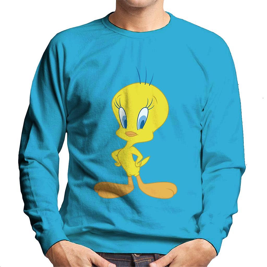 Looney Tunes Tweety Pie férfi pulóver