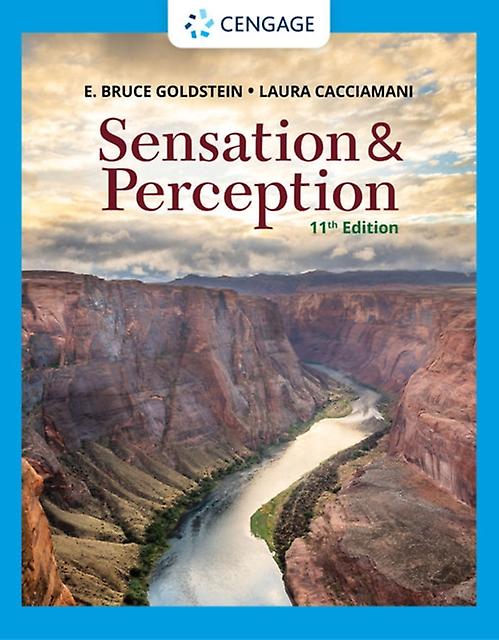 Sensation And Perception - Laura