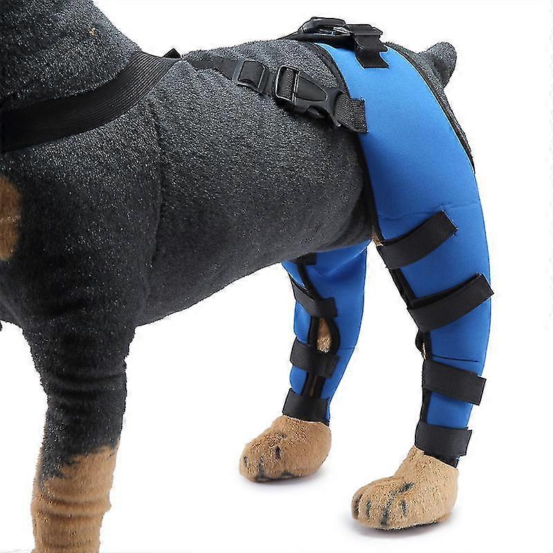 Köpek Arka Bacak Hock Brace, Köpek Köpek Bacak Eklem Wraps Çift Kompresyon Brace Yaraları Korur, İyileşir ve Yaralanmaları Önler ve Burkulmalar Zekaya Yardımcı Olur