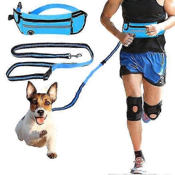 Running Handsfree Bungee Dog Leash