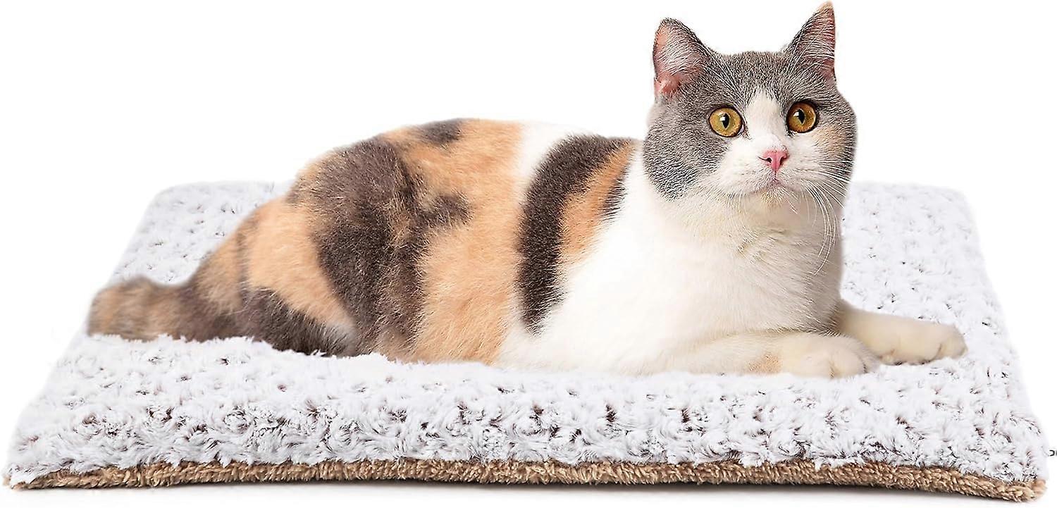 Beds for cats 60 x 45 cm L 