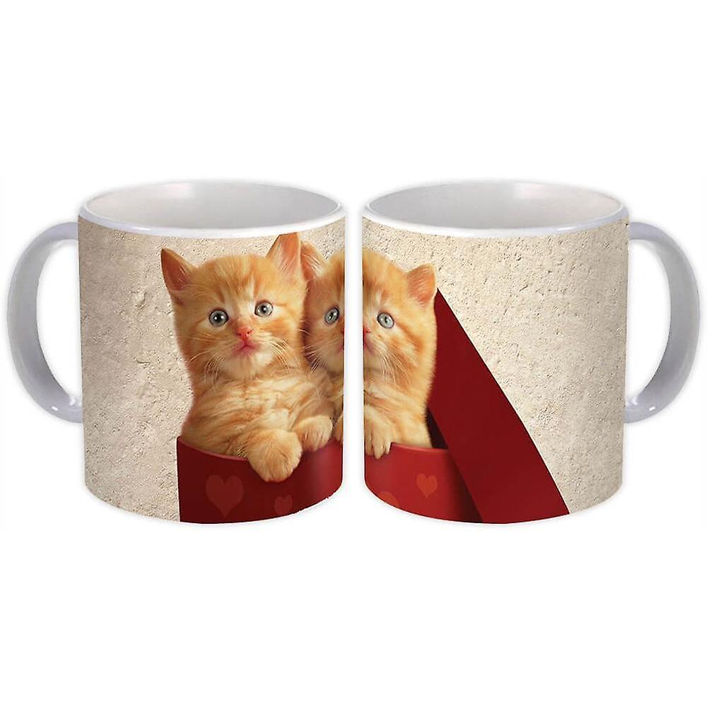 Gift Mug: Cat Animal